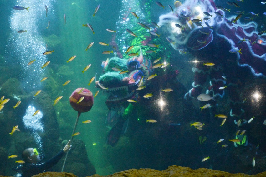 Dragon and lion dance performed underwater in Indonesia