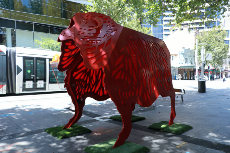 Sydney streets decorated with zodiac lanterns to celebrate Chinese New Year
