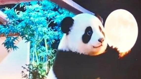 No glasses needed for panda performance