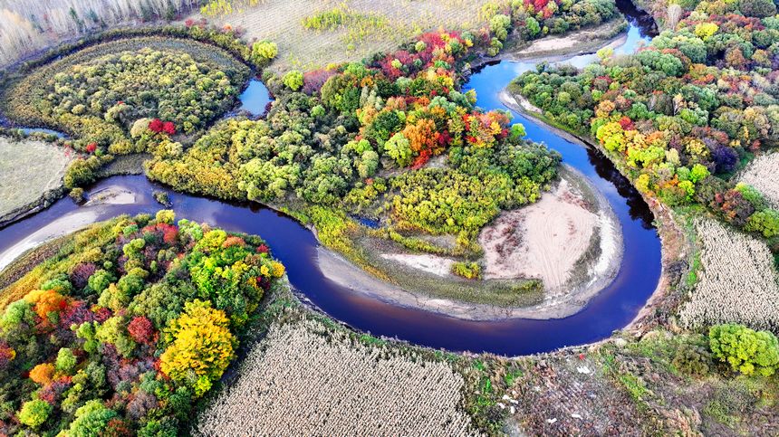Enchanting autumn scenery in Suihua, NE China's Heilongjiang
