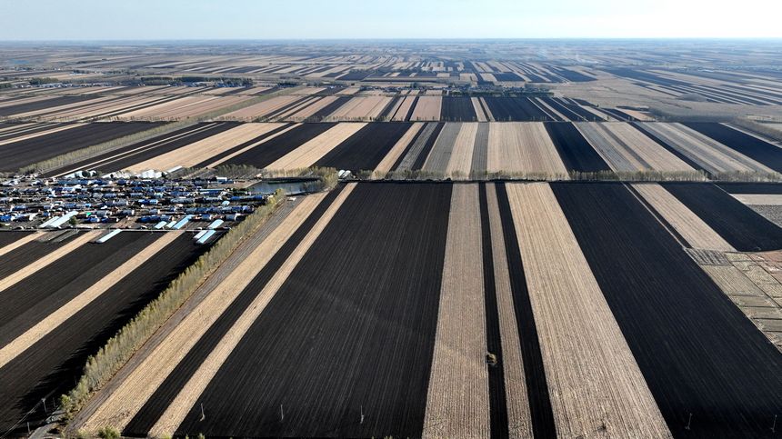 Enchanting autumn scenery in Suihua, NE China's Heilongjiang
