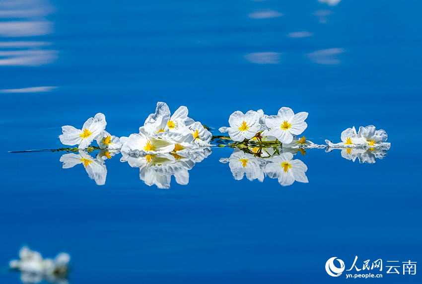 Breathtaking views of Erhai Lake in SW China's Yunnan