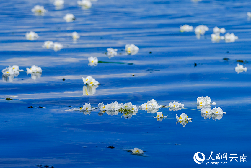 Breathtaking views of Erhai Lake in SW China's Yunnan