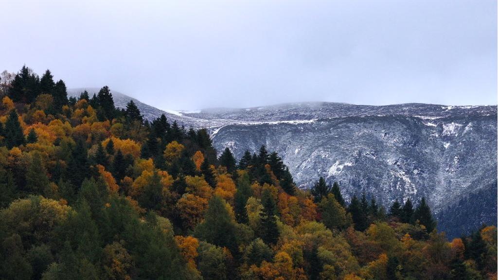 Autumn scenery of Serkyim La Mountain in Nyingchi, China's Xizang
