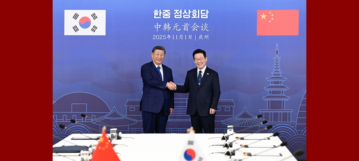 Xi says China willing to work with S. Korea for steady development of strategic cooperative partnership