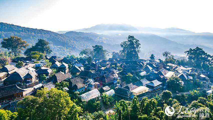 景邁山古茶林中的少數民族傳統村落。人民網 虎遵會攝