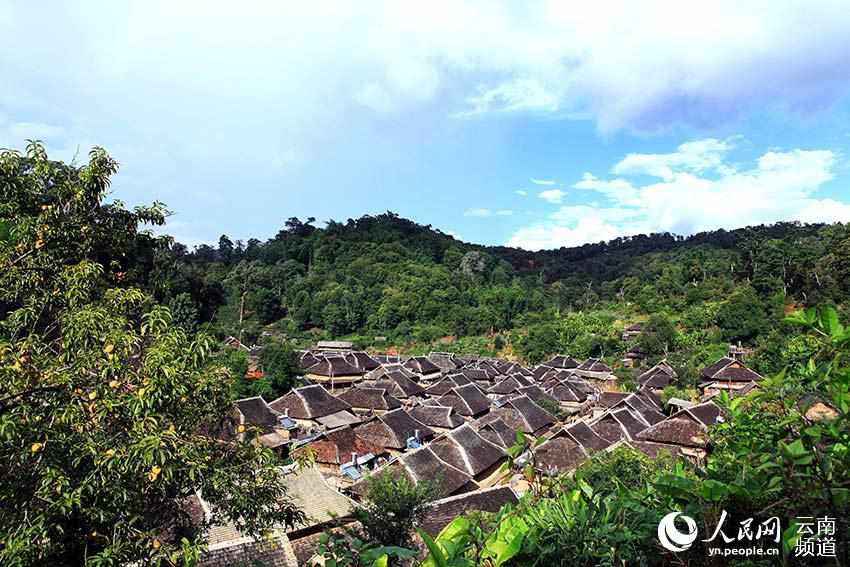 景邁山古茶林中的少數民族傳統村落。普洱市委宣傳部供圖