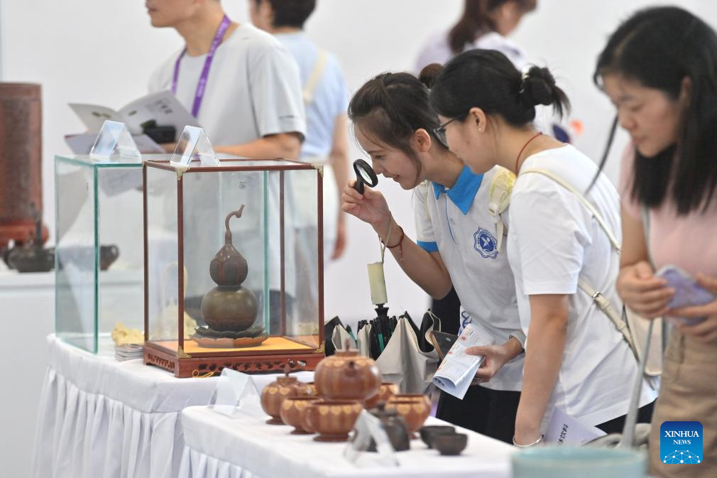 22nd China-ASEAN Expo opens to public
