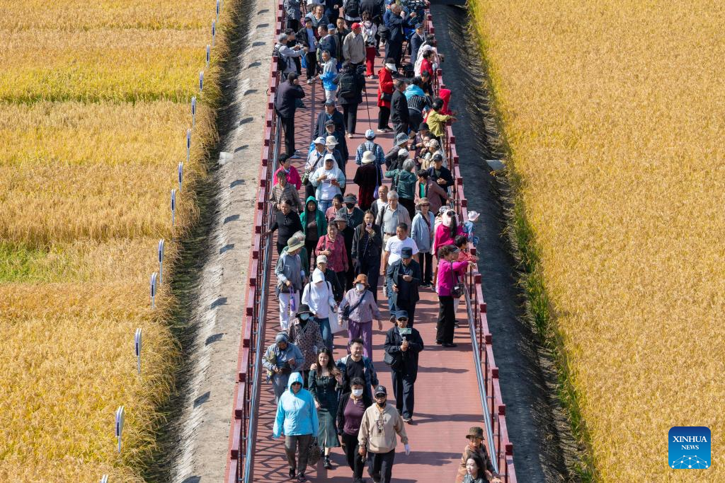 8th Chinese farmers' harvest festival marked in China's Heilongjiang