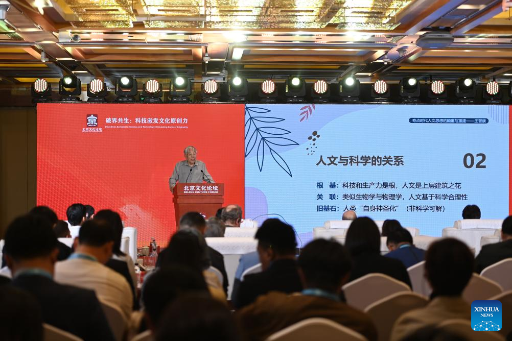 Parallel forums held during 2025 Beijing Culture Forum